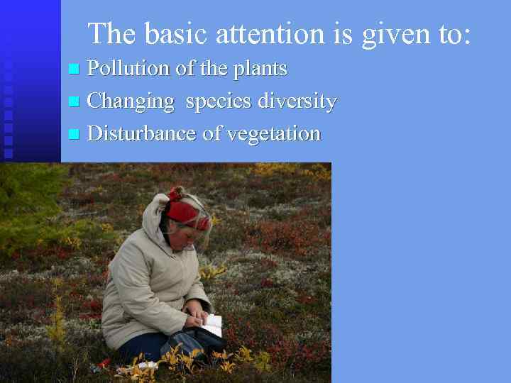 The basic attention is given to: Pollution of the plants n Changing species diversity