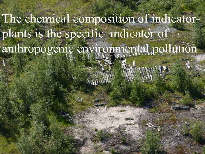 The chemical composition of indicatorplants is the specific indicator of anthropogenic environmental pollution 