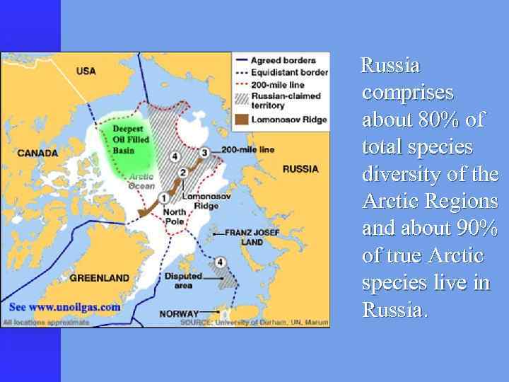 Russia comprises about 80% of total species diversity of the Arctic Regions and about