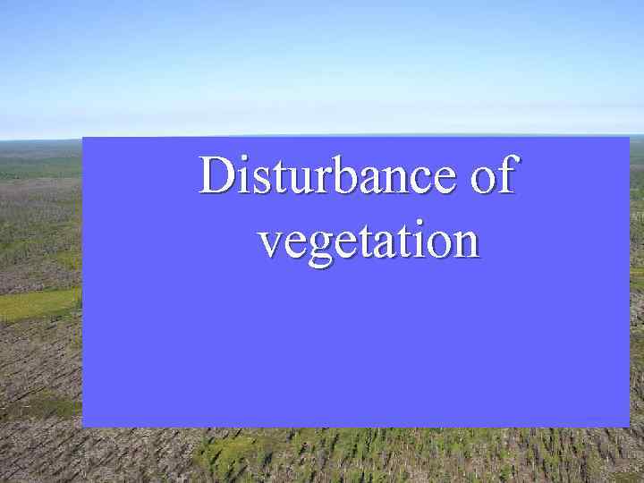 Disturbance of vegetation 