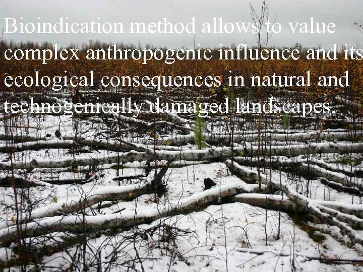Bioindication method allows to value complex anthropogenic influence and its ecological consequences in natural