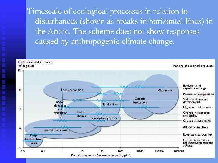 Timescale of ecological processes in relation to disturbances (shown as breaks in horizontal lines)