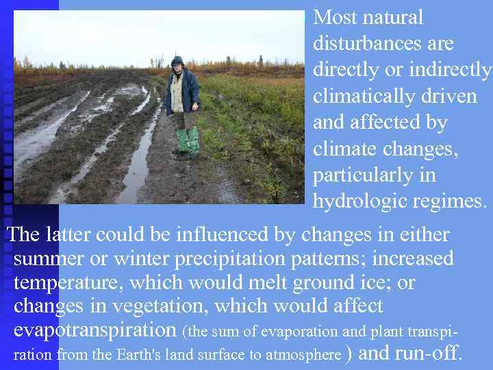 n Most natural disturbances are directly or indirectly climatically driven and affected by climate