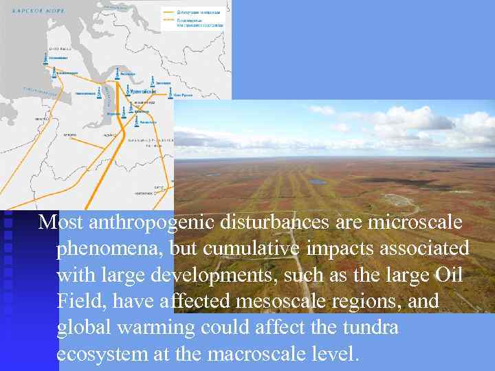 Most anthropogenic disturbances are microscale phenomena, but cumulative impacts associated with large developments, such