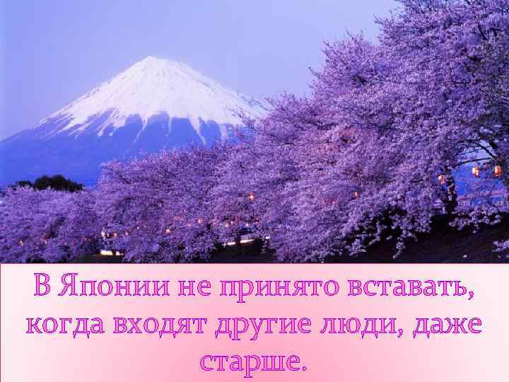 В Японии не принято вставать, когда входят другие люди, даже старше. 