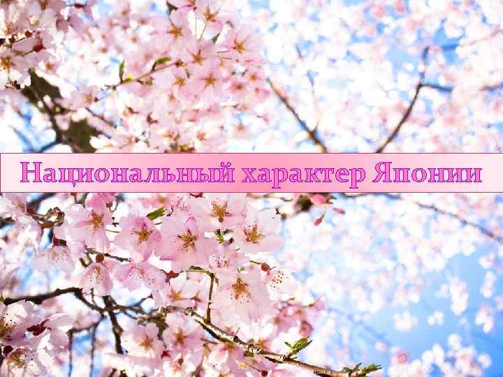 Национальный характер Японии 