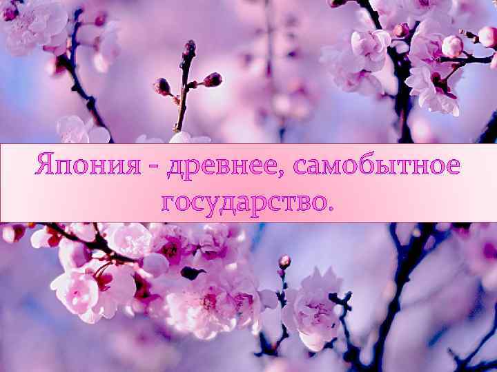 Япония - древнее, самобытное государство. 