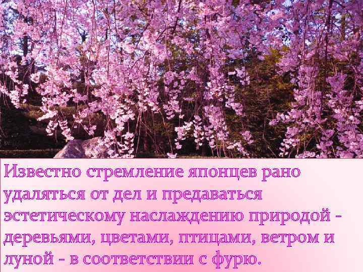 Известно стремление японцев рано удаляться от дел и предаваться эстетическому наслаждению природой деревьями, цветами,