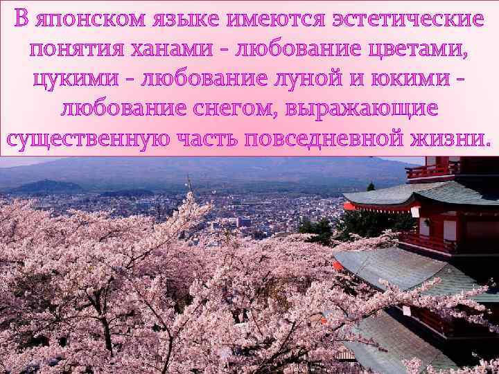 В японском языке имеются эстетические понятия ханами - любование цветами, цукими - любование луной