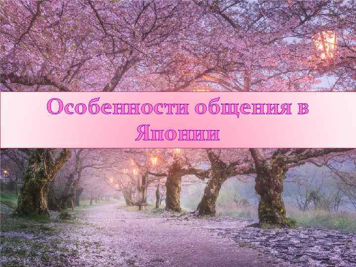 Особенности общения в Японии 