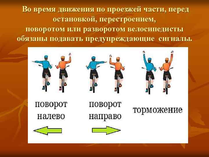 Во время движения по проезжей части, перед остановкой, перестроением, поворотом или разворотом велосипедисты обязаны