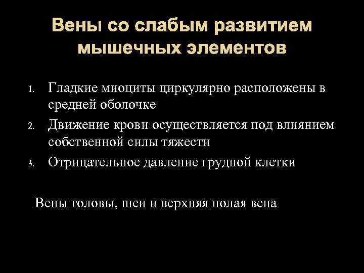 Вены со слабым развитием мышечных элементов 1. 2. 3. Гладкие миоциты циркулярно расположены в