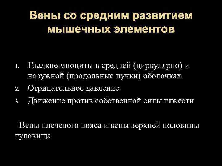 Вены со средним развитием мышечных элементов 1. 2. 3. Гладкие миоциты в средней (циркулярно)