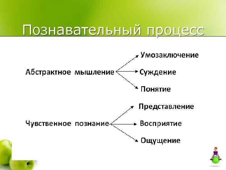 Познавательный процесс 