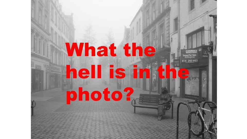 What the hell is in the photo? 