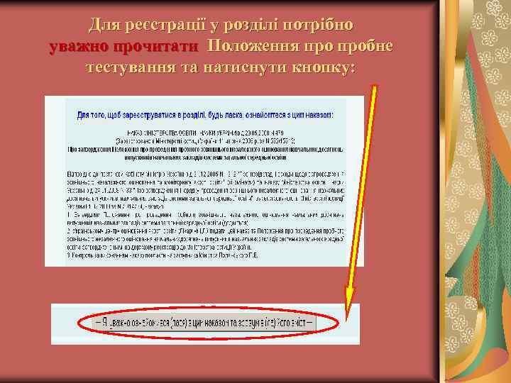 Для реєстрації у розділі потрібно уважно прочитати Положення пробне тестування та натиснути кнопку: 