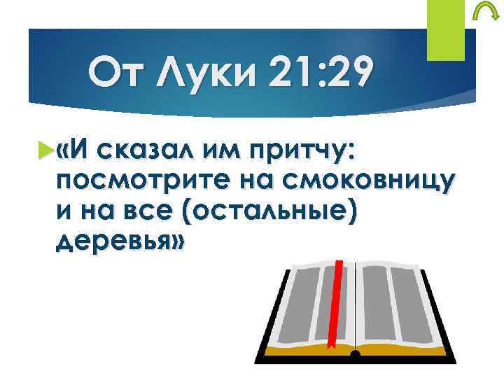 От Луки 21: 29 «И сказал им притчу: посмотрите на смоковницу и на все