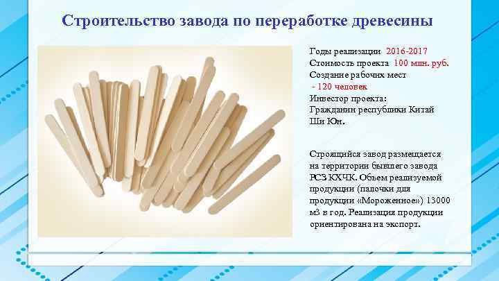 Строительство завода по переработке древесины Годы реализации 2016 -2017 Стоимость проекта 100 млн. руб.