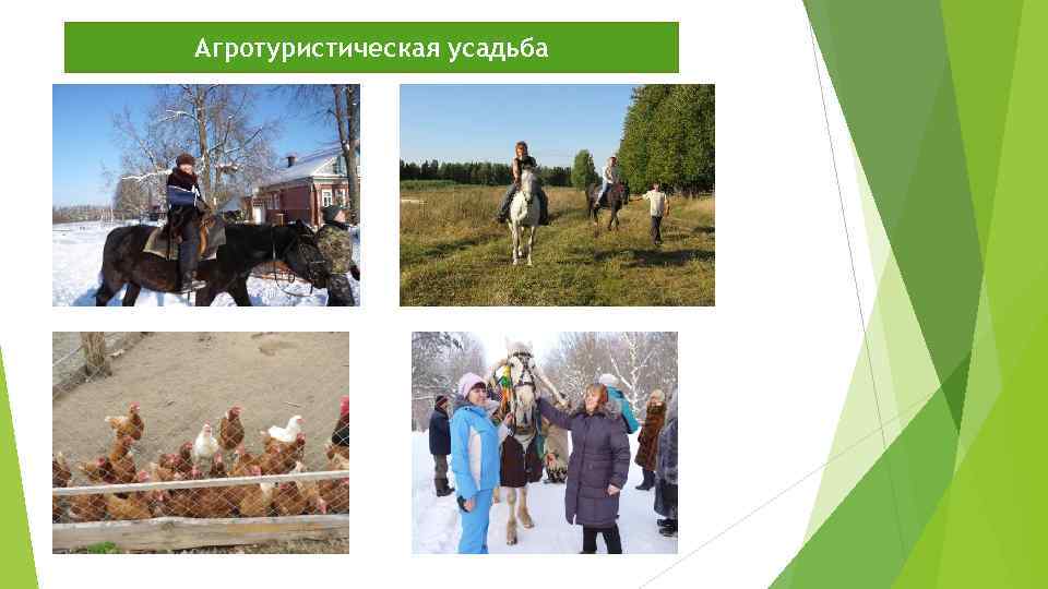 Агротуристическая усадьба 