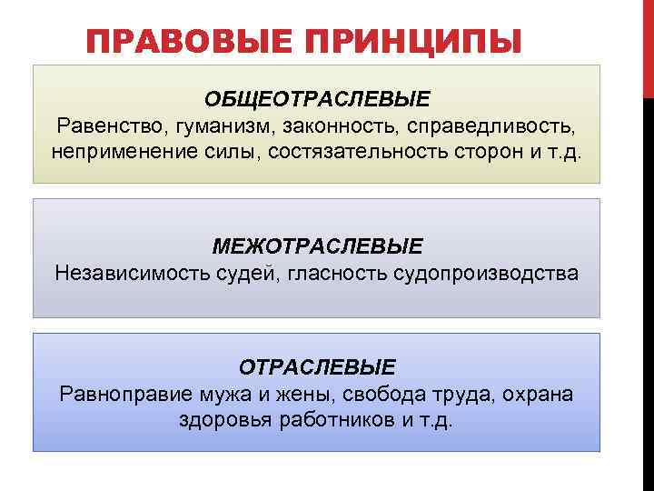 ПРАВОВЫЕ ПРИНЦИПЫ ОБЩЕОТРАСЛЕВЫЕ Равенство, гуманизм, законность, справедливость, неприменение силы, состязательность сторон и т. д.