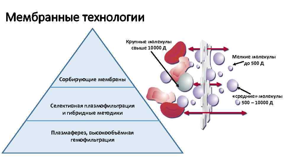 Мембранные технологии Крупные молекулы свыше 10000 Д Мелкие молекулы до 500 Д Сорбирующие мембраны