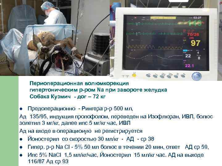 Периоперационная волюмкорекция гипертоническим р-ром Na при завороте желудка Собака Кузмич - дог – 72
