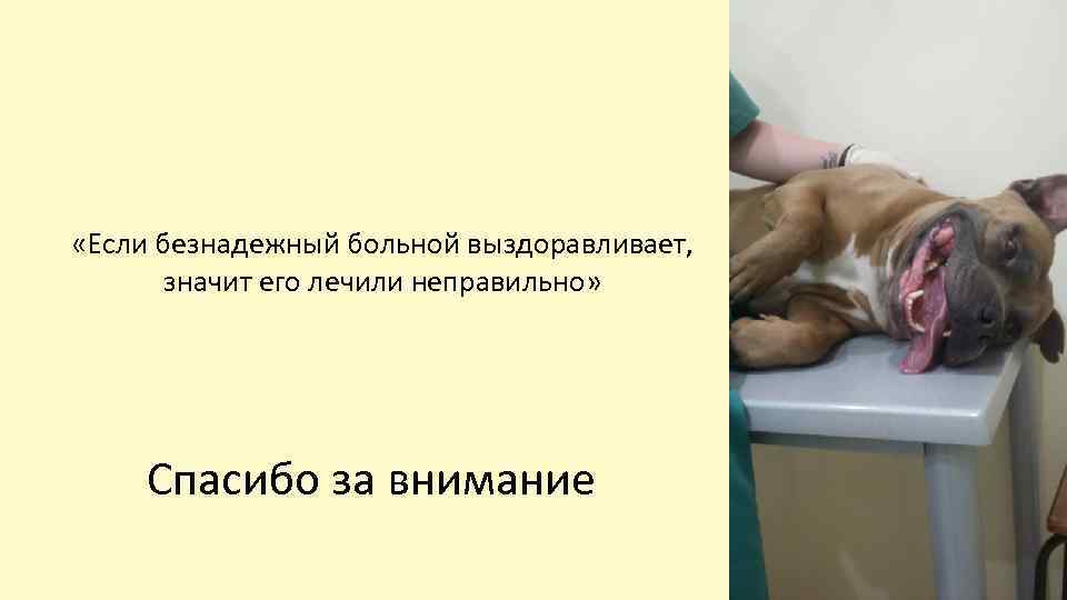 «Если безнадежный больной выздоравливает, значит его лечили неправильно» Спасибо за внимание 