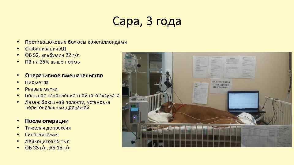 Сара, 3 года • • Противошоковые болюсы кристаллоидами Стабилизация АД ОБ 52, альбумин 22