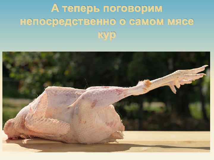 А теперь поговорим непосредственно о самом мясе кур 