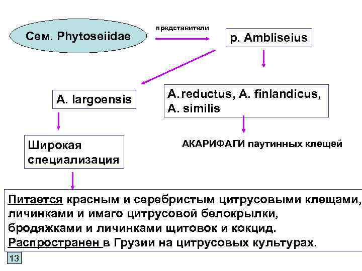 Сем. Phytoseiidae A. largoensis Широкая специализация представители р. Ambliseius A. reductus, A. finlandicus, A.