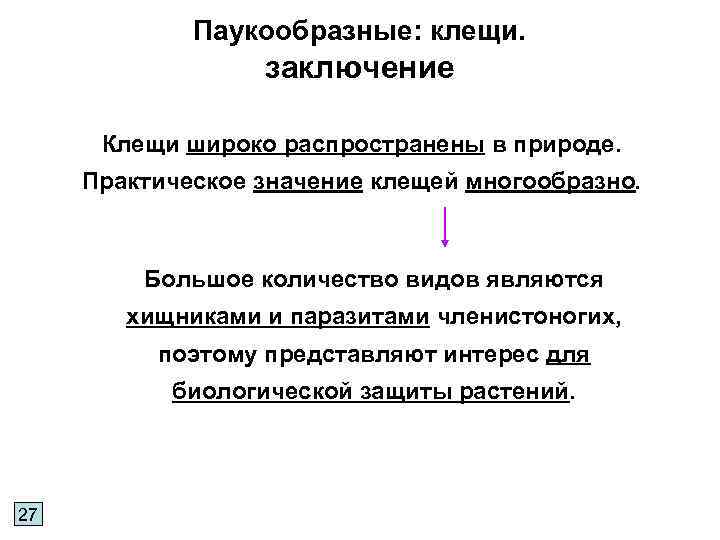 Паукообразные: клещи. заключение Клещи широко распространены в природе. Практическое значение клещей многообразно. Большое количество