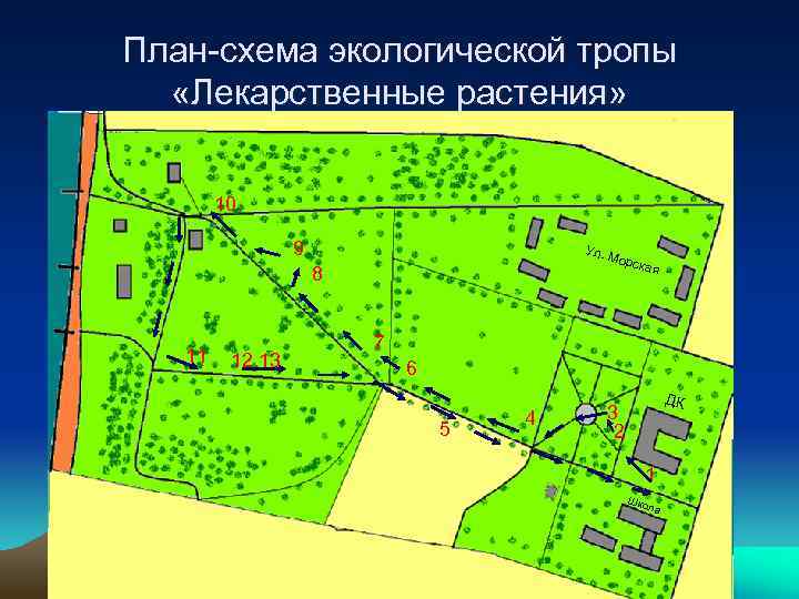 План схема экологической тропы «Лекарственные растения» 10 9 Ул. М орск 8 11 12