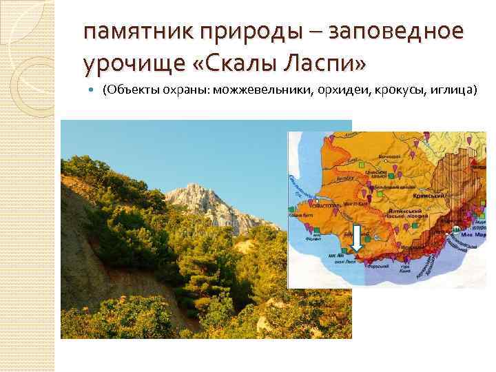 памятник природы – заповедное урочище «Скалы Ласпи» (Объекты охраны: можжевельники, орхидеи, крокусы, иглица) 