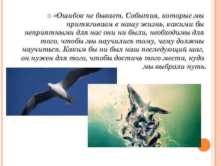  «Ошибок не бывает. События, которые мы притягиваем в нашу жизнь, какими бы неприятными