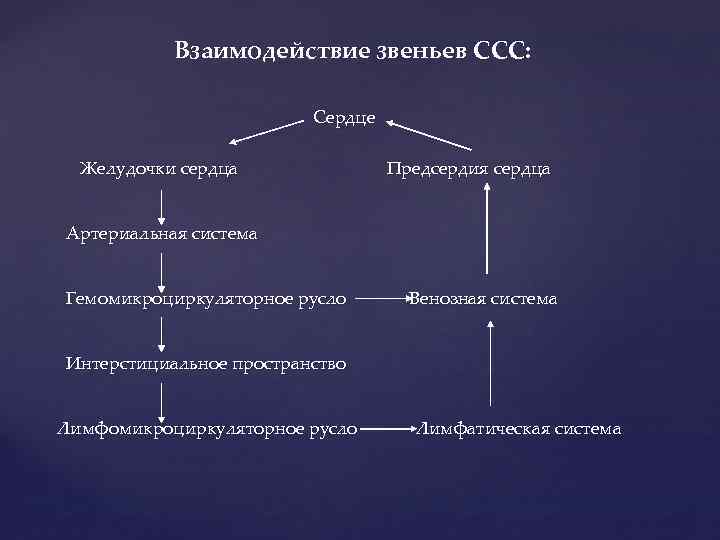 Взаимодействие звеньев ССС: Сердце Желудочки сердца Предсердия сердца Артериальная система Гемомикроциркуляторное русло Венозная система
