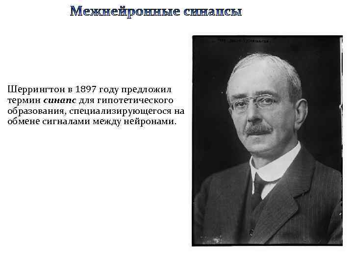 Шеррингтон в 1897 году предложил термин синапс для гипотетического образования, специализирующегося на обмене сигналами