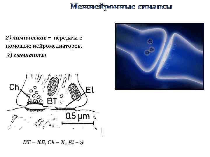 2) химические – передача с помощью нейромедиаторов. 3) смешанные 