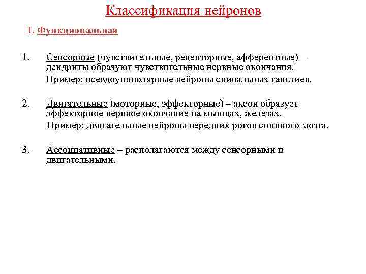 Классификация нейронов I. Функциональная 1. Сенсорные (чувствительные, рецепторные, афферентные) – дендриты образуют чувствительные нервные