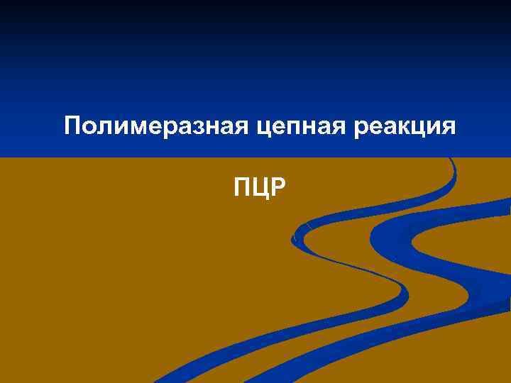 Полимеразная цепная реакция ПЦР 