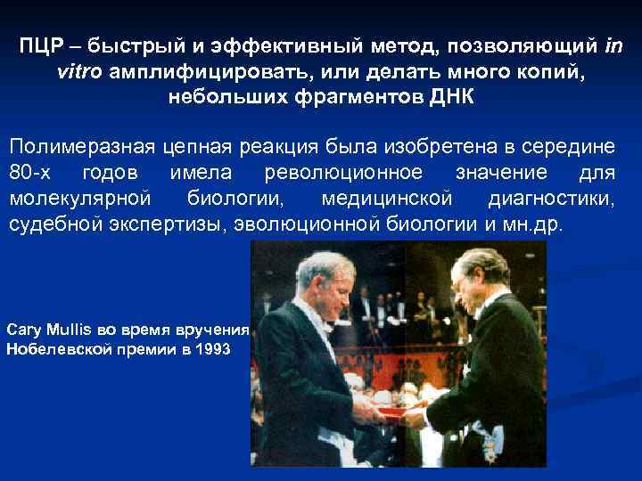 ПЦР – быстрый и эффективный метод, позволяющий in vitro амплифицировать, или делать много копий,