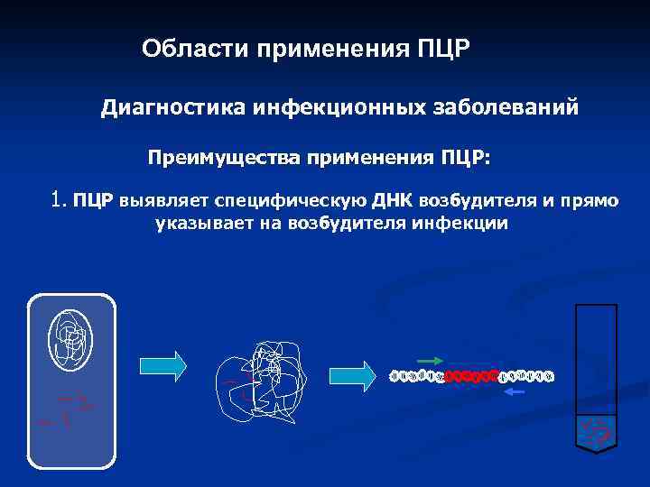 Области применения ПЦР Диагностика инфекционных заболеваний Преимущества применения ПЦР: 1. ПЦР выявляет специфическую ДНК