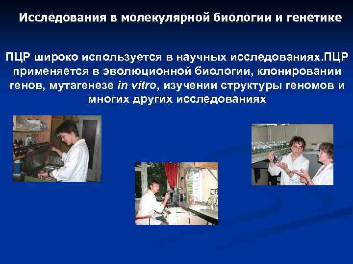 Исследования в молекулярной биологии и генетике ПЦР широко используется в научных исследованиях. ПЦР применяется