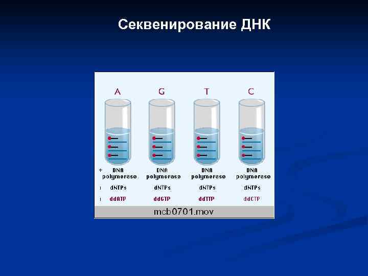 Секвенирование ДНК 