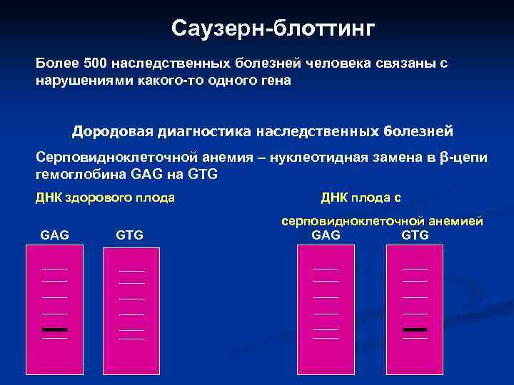 Саузерн-блоттинг Более 500 наследственных болезней человека связаны с нарушениями какого-то одного гена Дородовая диагностика