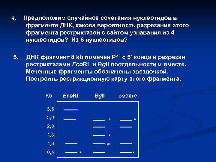 4. 5. Предположим случайное сочетания нуклеотидов в фрагменте ДНК, какова вероятность разрезания этого фрагмента