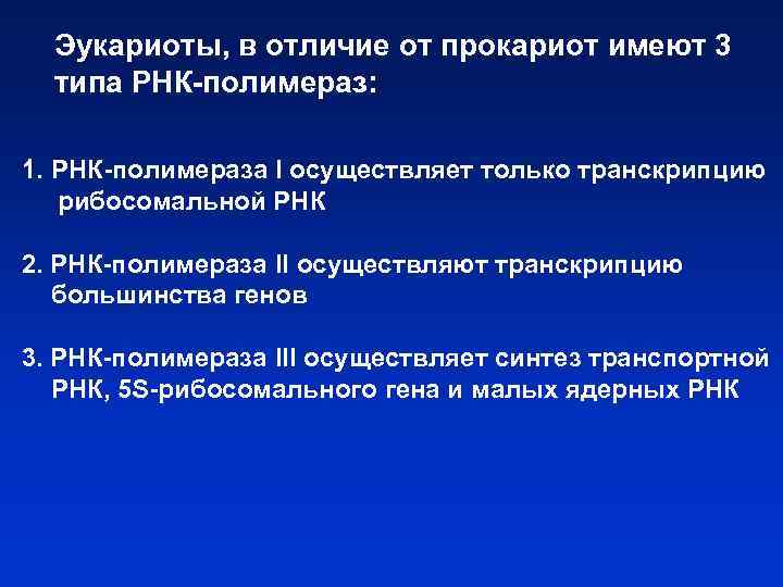 Эукариоты, в отличие от прокариот имеют 3 типа РНК-полимераз: 1. РНК-полимераза I осуществляет только