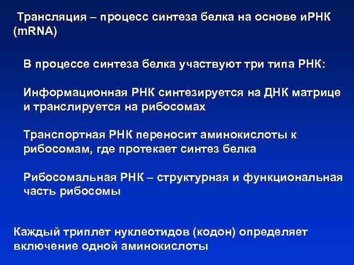 Трансляция – процесс синтеза белка на основе и. РНК (m. RNA) В процессе синтеза