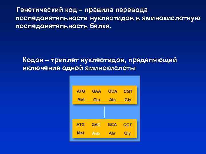 Генетический код – правила перевода последовательности нуклеотидов в аминокислотную последовательность белка. Кодон – триплет