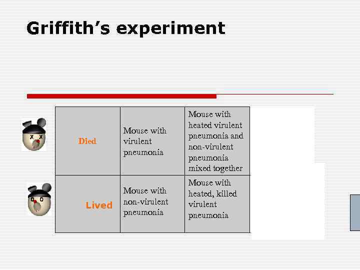 Griffith’s experiment Died Mouse with virulent pneumonia Mouse with Lived non-virulent pneumonia Mouse with