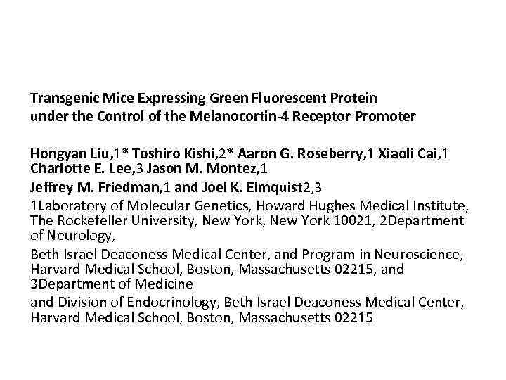 Transgenic Mice Expressing Green Fluorescent Protein under the Control of the Melanocortin-4 Receptor Promoter